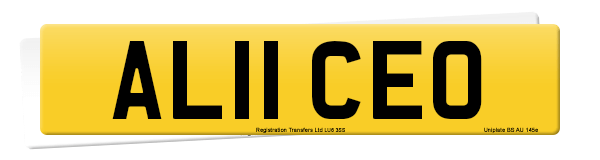 Registration number AL11 CEO